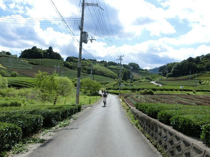 日本で最も美しい村と呼ばれる京都府相楽郡和束町