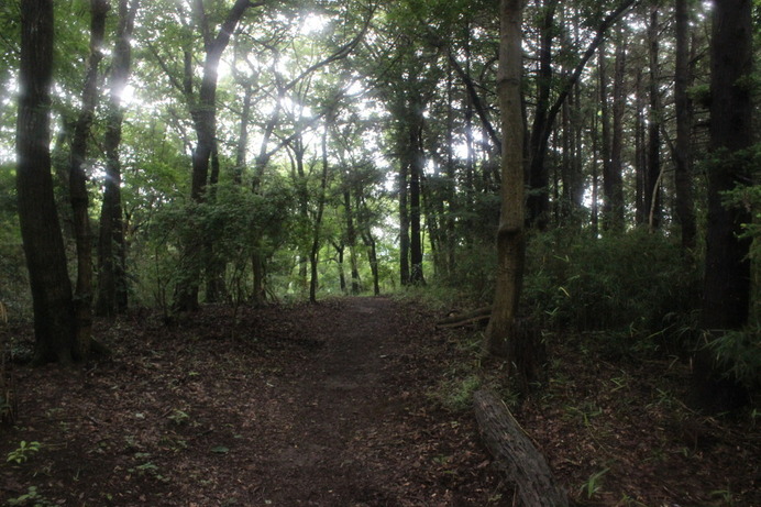 見晴らしの良い場所を抜けると、平坦な道に出る。御嶽山が登り続きだったので、一休みできる。