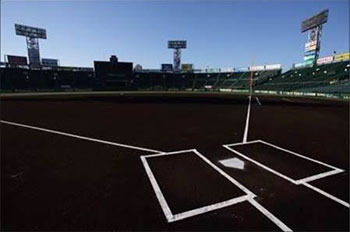 「阪神甲子園球場 球