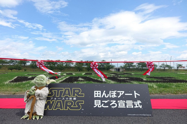 『スター・ウォーズ／フォースの覚醒』田んぼアート見ごろ宣言式