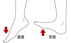 ねんざ後の足首を簡単に保護できる「リアライン・スプリント」