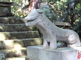 【小さな山旅】うなぎと犬が組み合わさったような狛犬のある山…陰陽山 画像