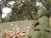 【小さな山旅】義務や責任から解放され、閑居したい時に…茨城県・閑居山 画像
