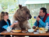 ロシア人家族と20年以上暮らしている熊…サッカー観戦、庭で水やりも 画像