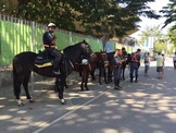 リオオリンピック開会式前のマラカナンスタジアムは警官がズラり…騎馬警官の姿も 画像