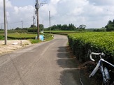 【南日本グルメライド】自転車乗りがグルメを追求すると、お得な4つのこと 画像