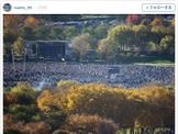 西武・牧田和久「スケールが違いすぎる！」…カブスの優勝を祝う大群衆に驚嘆 画像