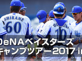 「横浜DeNAベイスターズ春季キャンプツアー2017 in沖縄」販売開始 画像