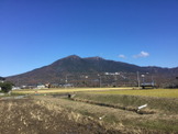 【小さな山旅】師走の筑波でガマを眺める…茨城県・筑波山(2） 画像