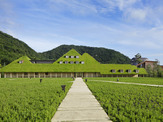 自然を生かした建築…建築家・藤森照信の展覧会が水戸芸術館で開催 画像