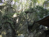 【小さな山旅】風神の穴をさがせ！…茨城県・竜神山（3） 画像