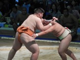 【THE INSIDE番外編】将来の関取候補がひしめく個人戦が熱い…インターハイ 相撲競技 画像