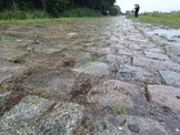 【ツール・ド・フランス14】落車続出の石畳は文字通りの地獄コース 画像