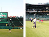 甲子園の天然芝エリア＆土エリアでキャッチボール！特別イベント9月開催 画像