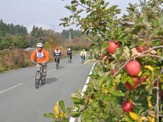 山形県上山市のサイクリングイベント「かみのやまツール・ド・ラ・フランス」がエントリー受け付け開始 画像