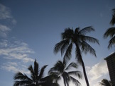 嵐、ハワイでの記念ライブは経済効果22億円との試算で「もう嵐神や」 画像