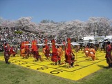 山形の「天童桜まつり人間将棋」が4月26日から2日間開催 画像