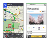 ナビタイム、桜の開花状況をリアルタイムに提供…1日2回更新 画像