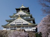 「大坂冬の陣・夏の陣」から400年となる大阪城の桜が満開へ 画像