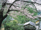 奈良観光をスムーズにするパークアンドライド・サイクルライドは6月1日まで開催 画像