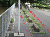 【澤田裕のさいくるくるりん】埼玉県内の自転車道を実走調査。気になるその結果は？ 画像