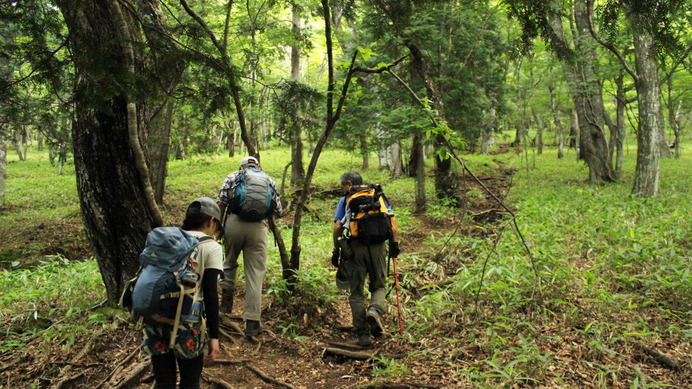 日光男体山の登山道。林の中を歩く道。