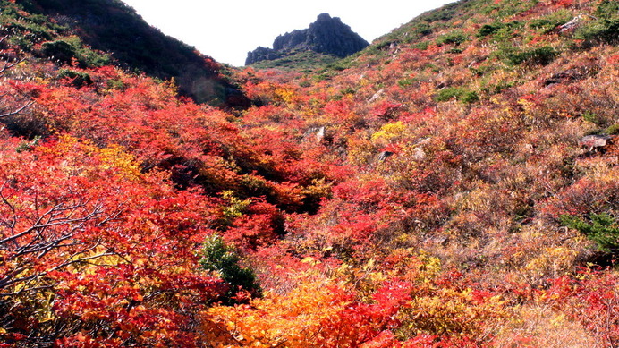 紅葉まっさかりの安達太良山。思わず息を呑むほどの景色である。