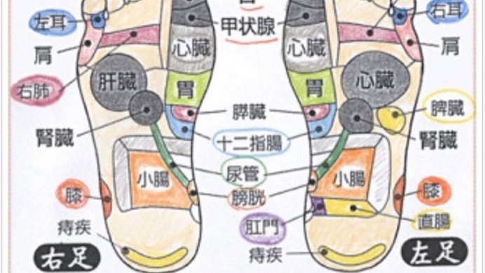 元体操 田中理恵 足のつぼイラストに 本当にきくのかなぁー Cycle やわらかスポーツ情報サイト