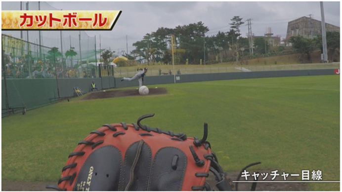 阪神投手の剛速球を体感できる2017年版「投球体感映像」公開…甲子園歴史館