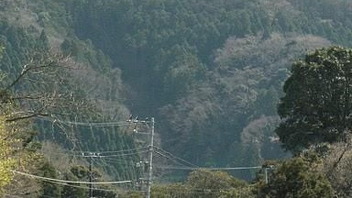 　千葉県の房総半島で開催される房総ツーリングシリーズの2010年第一弾、「房総丘陵コース」に出場する参加者を募集中だ。