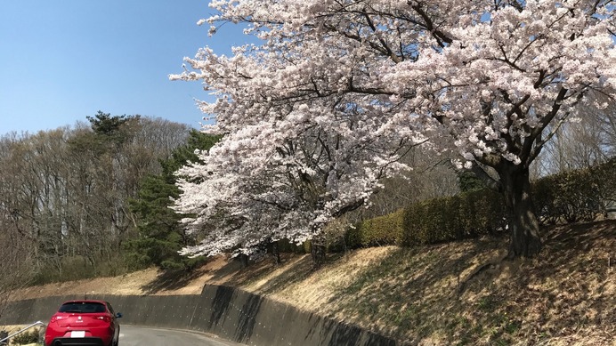 カーサイクリング