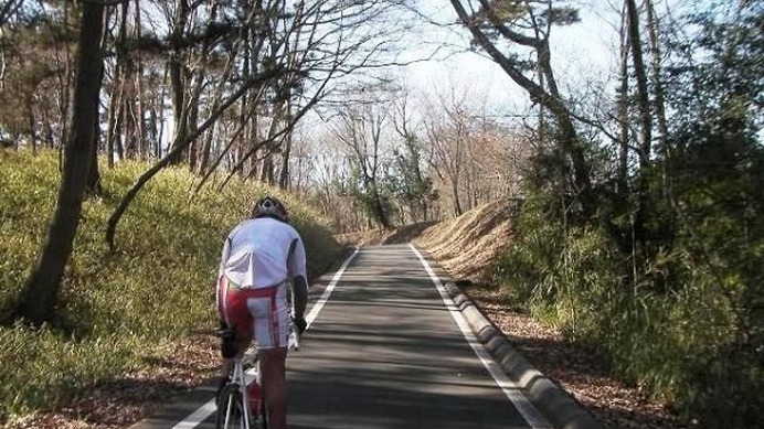 自転車 サーキット 関東