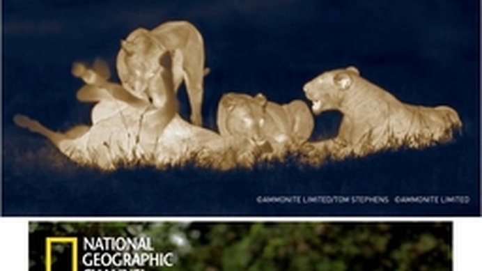 夜の上野動物園でナショナルジオグラフィックの動画を上映