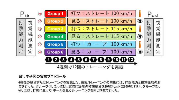 順天堂、野球の打撃能力が実際と同じ球種・球速で練習すると大きく向上することを発見