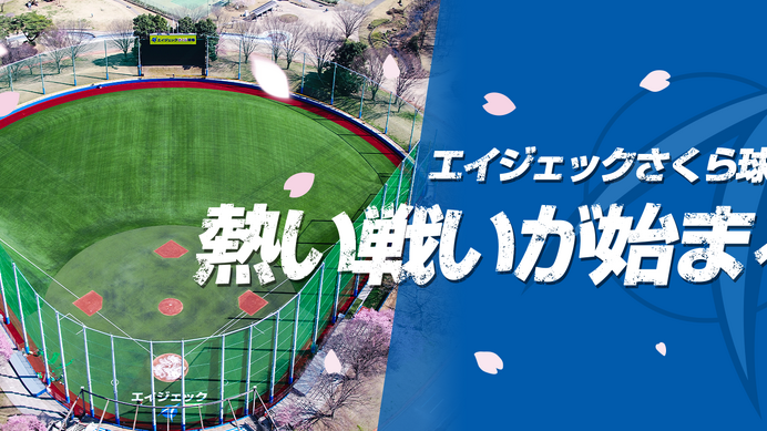 8チームが参加！女子硬式野球交流戦「栃木さくらカップ」開催