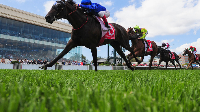 【競馬】アルゼンチン共和国杯は3歳馬オーソリティが優勝！先週に続いてルメール×シルクレーシング