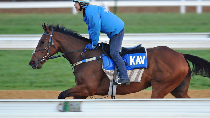 【競馬】朝日杯FS　レコード連発レッドベルオーブら有力馬追い切りジャッジ＆狙える穴馬プラスワン！