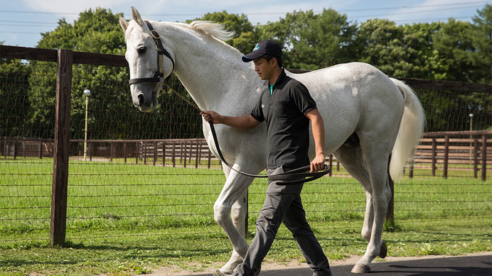 【競馬】クロフネが死亡　初の白毛馬GI勝ちソダシの父