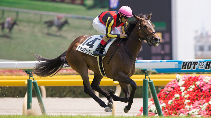 【競馬】グランアレグリア、次走・大阪杯で三冠馬コントレイルと激突へ