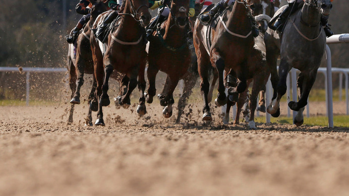 【競馬】2021年最初の中央GI、フェブラリーSの特別登録が発表　オーヴェルニュやレッドルゼルなど