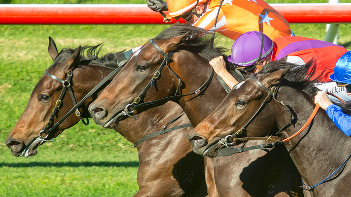 【競馬】「弥生賞」ダノンザキッドとタイムトゥヘヴンの明と暗。どちらかに該当する「馬券内率0%データ」とは