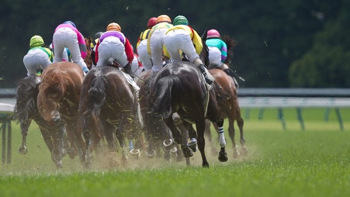 【秋華賞／馬場情報】阪神芝は芝「稍重」でクッション値は“やや軟らかめ”に近い「8.1」　上がりを要して前が止まらない