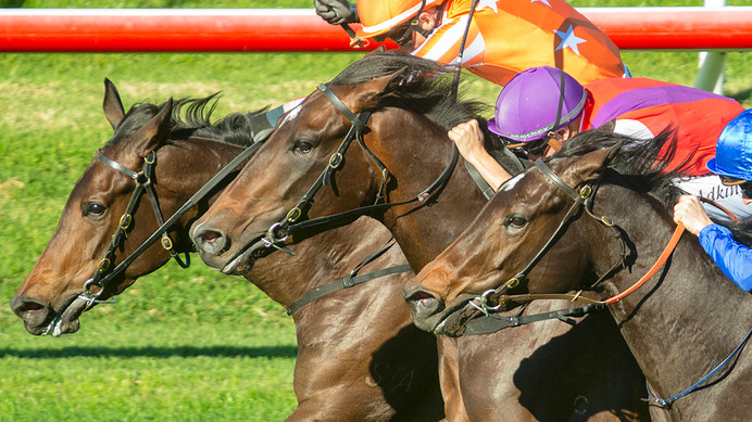 【香港スプリント】9番人気スカイフィールドV　日本調教馬はレシステンシアが2着　直線入り口で多重落馬事故が発生