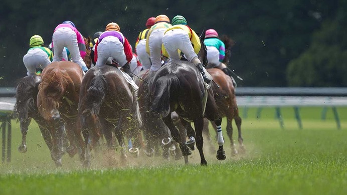 【安田記念／馬場情報】東京芝は完全に“外差し”　高速決着が濃厚で持ち時計も重要