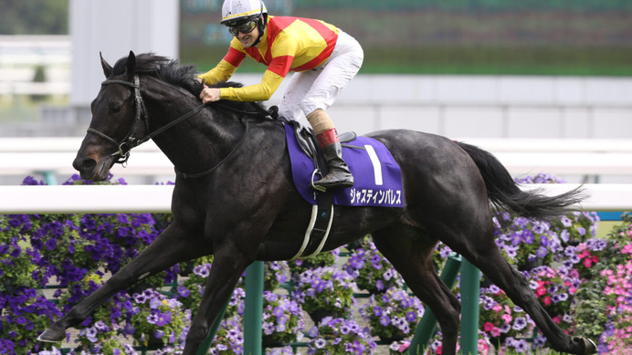 春の天皇賞馬ジャスティンパレスが有馬記念参戦を表明　現在の出走予定馬は？