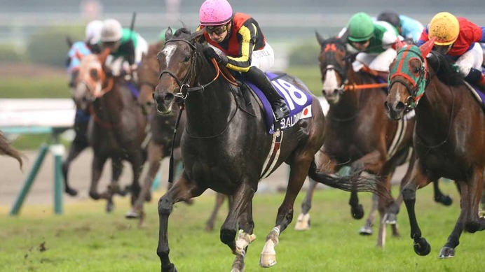 【香港国際競走】血のライバル「神姬・ディヴィーナと吉典娜・ジェラルディーナ」　異国の地で勝利目指す同志へ