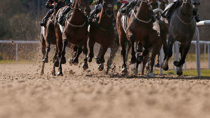 今年初の“単勝万馬券”　京都ダートが前残りで荒れ模様「メインも荒れるぞ」