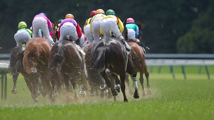 【京都芝傾向】シルクロードSは馬場にマッチする“特注種牡馬”の産駒を狙え　上がりは35秒台決着か