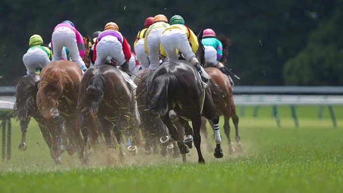 【桜花賞／馬場情報】阪神芝は好位差しの傾向　土曜重賞で猛威の“キンカメ血統”に注目