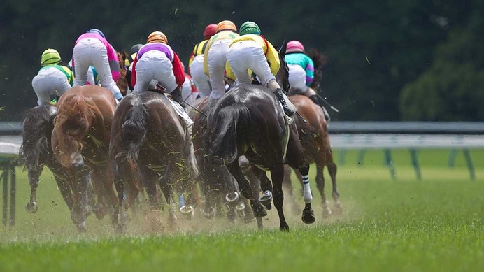 【宝塚記念／馬場情報】土曜は道悪でも「イン前」有利、阪神開催の道悪は08年逃げ切りV＋重厚血統が台頭